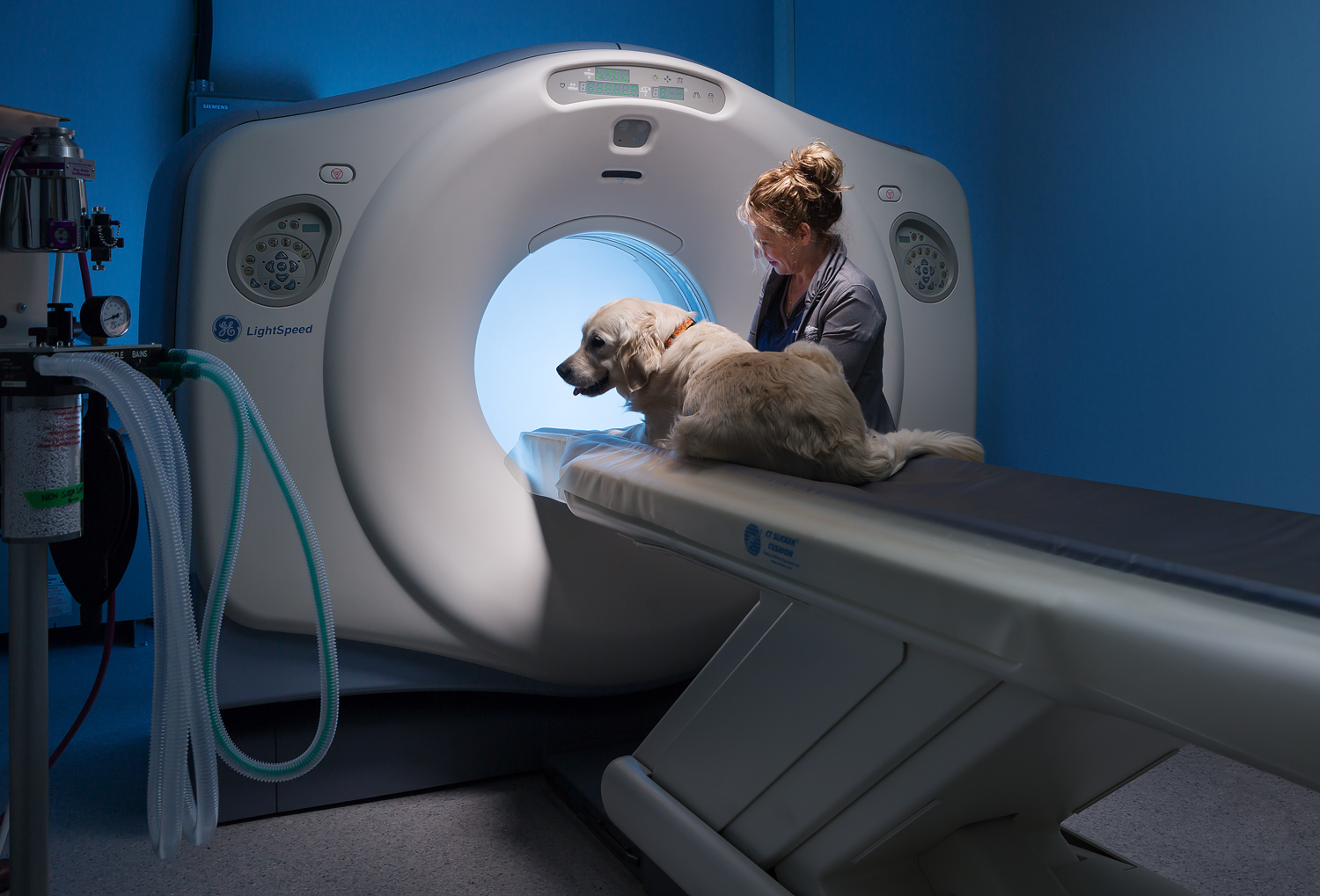 Ct Scans For Dogs Near Me ct scan machine